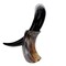 Olafs Ale House Tankherd Bovine Horn 20oz with Stand GH2132HORN - alternate 3